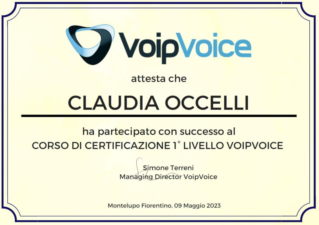 VoipVoice Partner